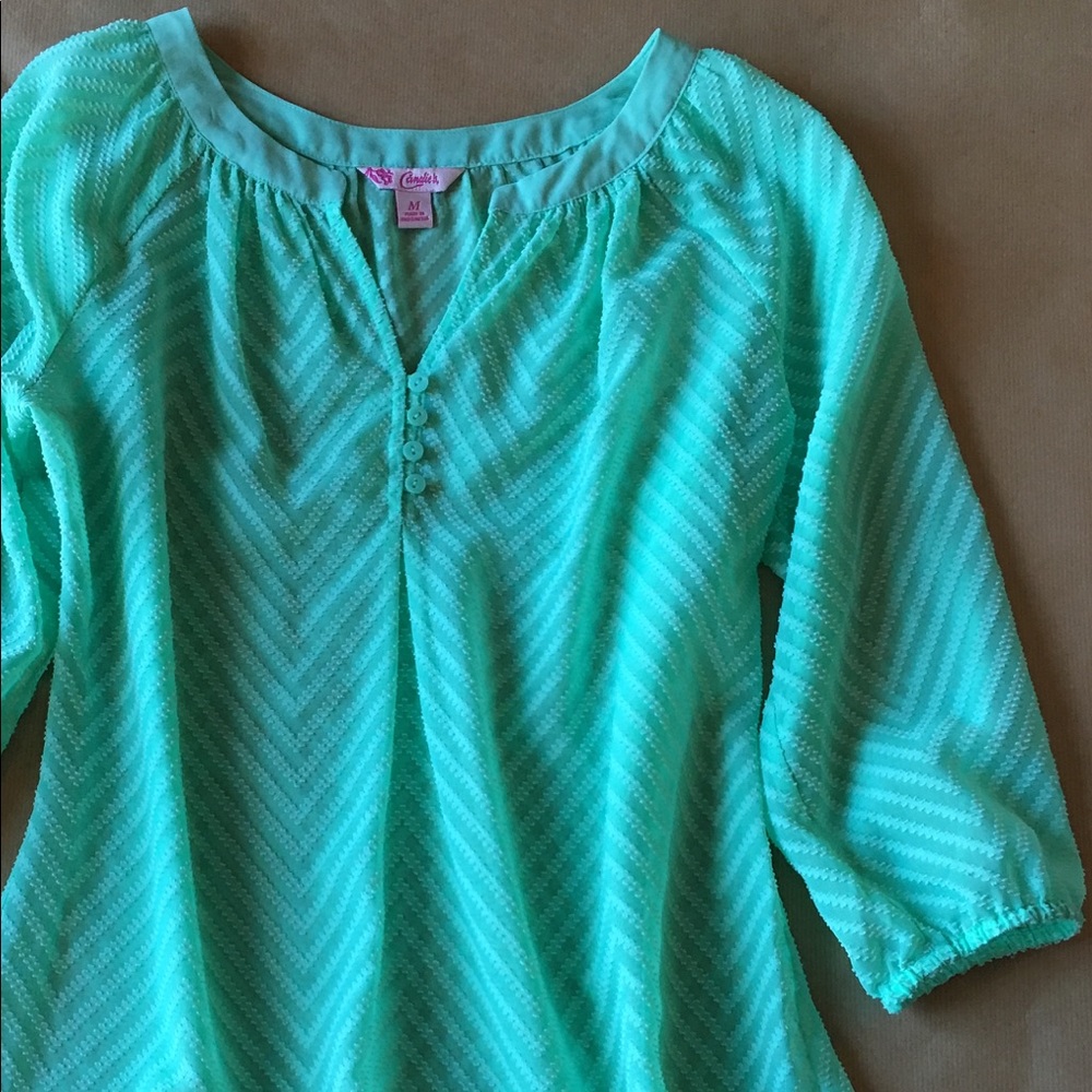 Dressy Green Sheer Top, 3/4 Sleeve